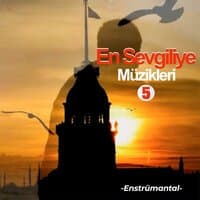 En Sevgiliye Müzikleri 5 (Enstrümantal)