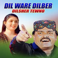 Dil Ware Dilber