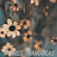 Flores tranquilas