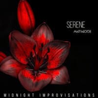 Midnight Improvisations // Serene