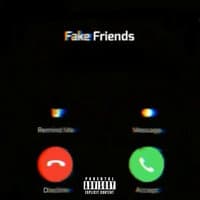 Fake Friends