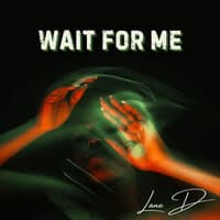 Wait for Me