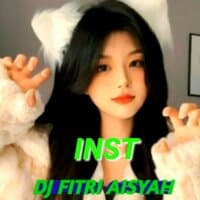 INST dj work hard full bass