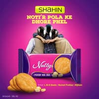 Shahin Noti'r Polake Dhore Phel