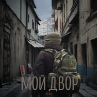 Мой двор