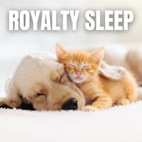 Royalty Sleep