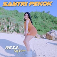 Santri Pekok