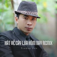 Hát Về Cây Lúa Hôm Nay