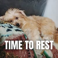 Time to Rest