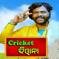 Cricket Diwana