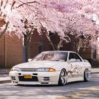 Sakura