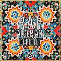 Algerian Delight