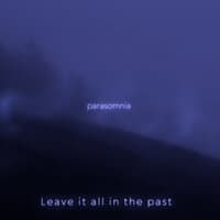 Leave It All in the Past