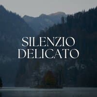 Silenzio Delicato