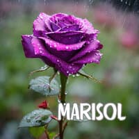 Marisol