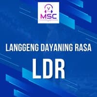 Langgeng Dayaning Rasa "LDR"