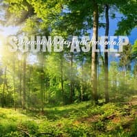 Sound Asleep: Dreamlike Midday Forest Ambience 2