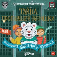 Анастасия Маркелова. «Тайна пропавшей клюшки или Приключения обычного мальчика»