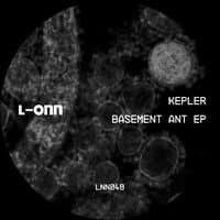 Basement Ant EP