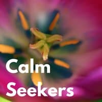 Calm Seekers Vol.1