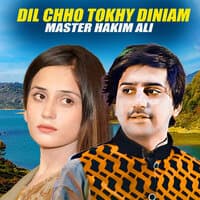 Dil Chho Tokhy Diniam