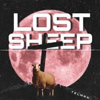 Lost Sheep