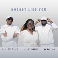 Nobody Like You