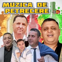 Nelu Bitina Colaj 2024 , muzica de petrecere , sarbe , hore , oltenest