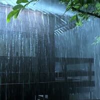 Heavy Rain for Sleep and Relaxation