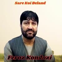 Sare Koi Beland