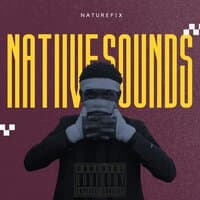 NATIVE SOUNDS