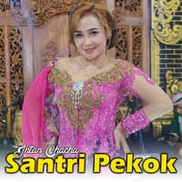 Santri Pekok