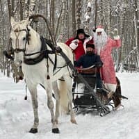 Весело встретим Новый год или новогоднее приключение дяди Пети