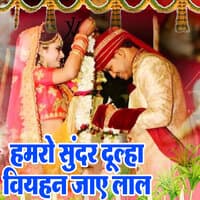 Hamaro Sundar Dulha Viyahan Jaye Lal