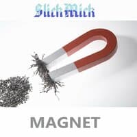 Magnet