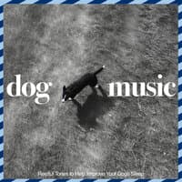 Music For Dogs: Restful Tones to Help Improve Your Dogs Sleep