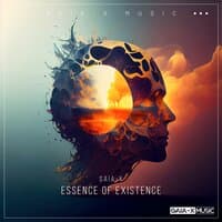 Essence of Existence