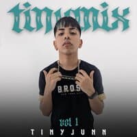 Tinymix Vol. 1 - Camuflaje/ Se Preparó/ Bonita/ Te Robó/ La Bachata/ Yonaguni