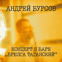 Концерт в баре "Брюзга Таганский"