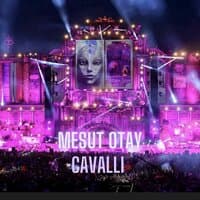 Cavalli