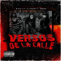 Versos de la Calle