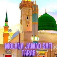 Molana Jawad Safi Tarab