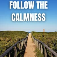 Follow the Calmness