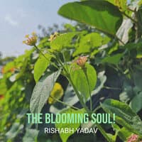 The Blooming Soul!