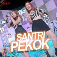 Santri Pekok