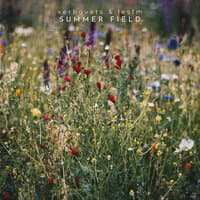 Summer Field