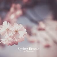 Spring Breeze