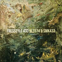 Fresstyle 433