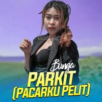 Parkit