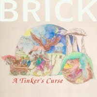 A Tinker's Curse